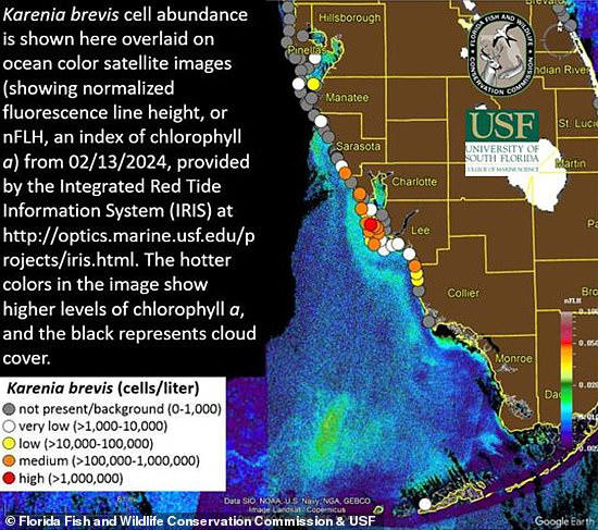 Calls for state of emergency in Florida as toxic organisms invade