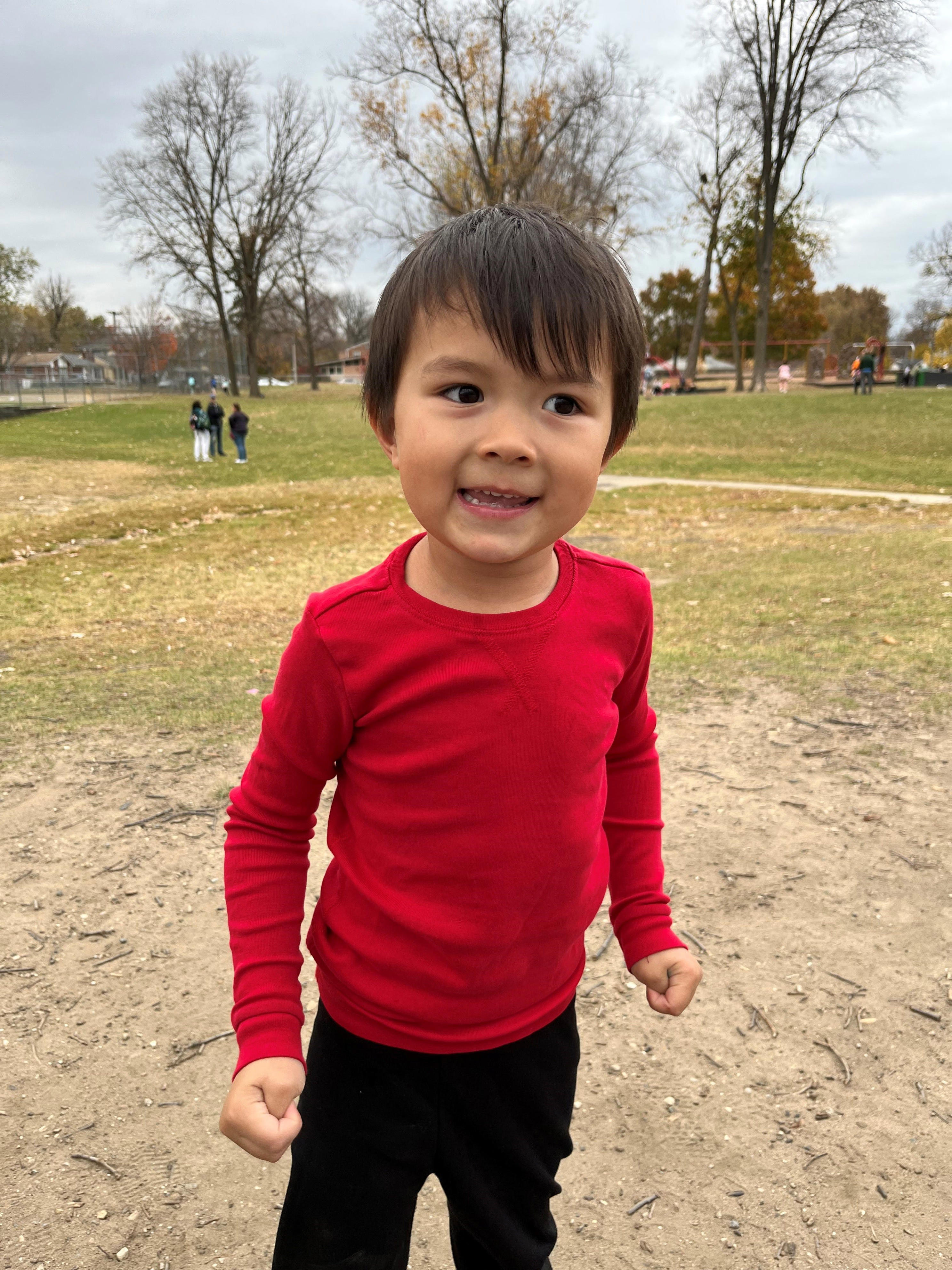 4 arrested in hyperbaric chamber fire that killed 5yearold Royal Oak boy