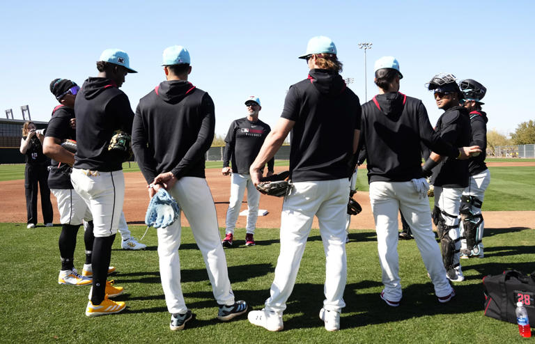 Arizona Diamondbacks fans share expectations for 2026 season