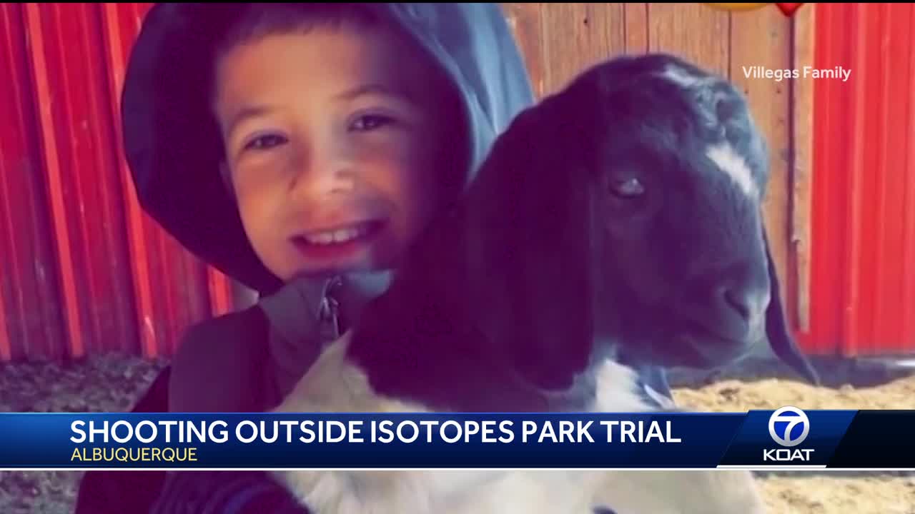 Family of 11 year old boy killed after Isotopes game testify in court