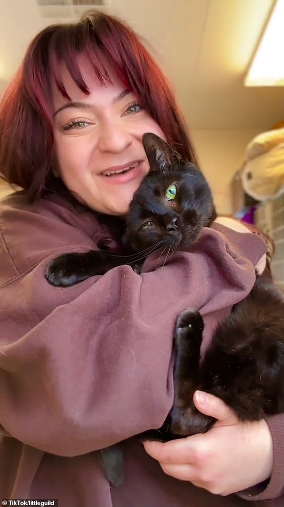 Black cat is dumped at shelter by owners for being too AFFECTIONATE
