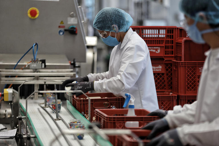 Trabajadora en una fábrica de leche