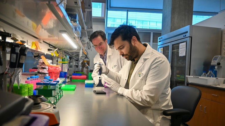oregon-researchers-develop-test-for-detecting-early-stage-pancreatic-cancer