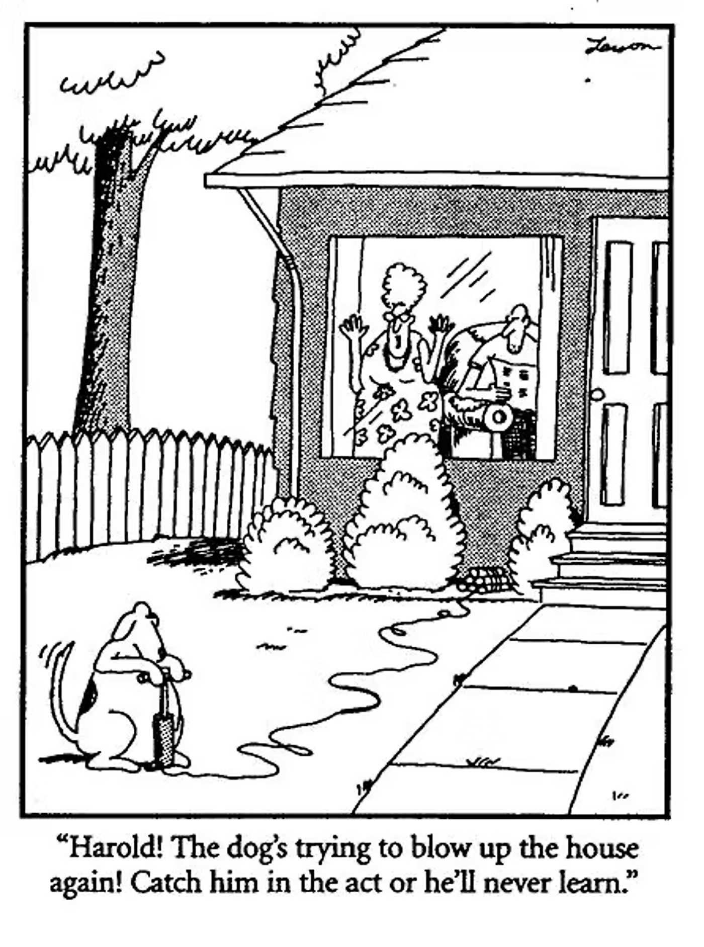 Far Side,