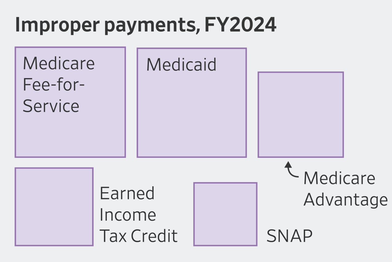 DOGE Is Searching for Wasteful Spending. It Isn’t Hard to Find.