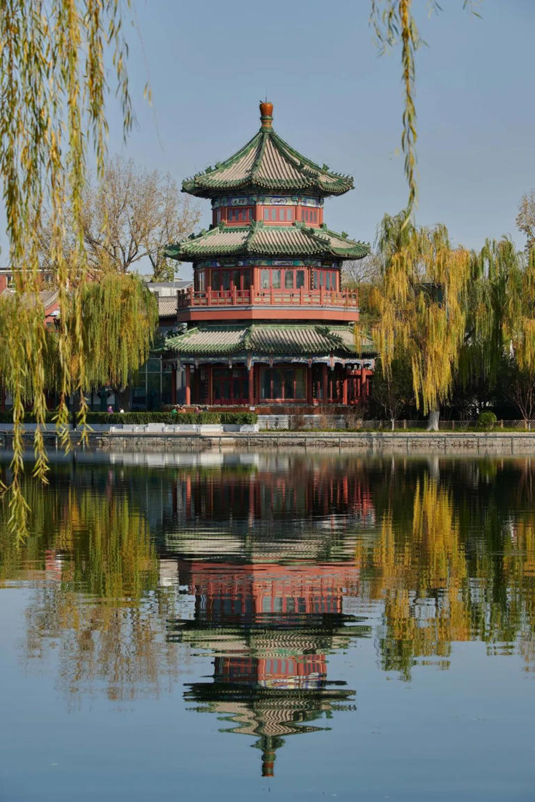 花700多年画出一条线，用中式色彩惊艳世界