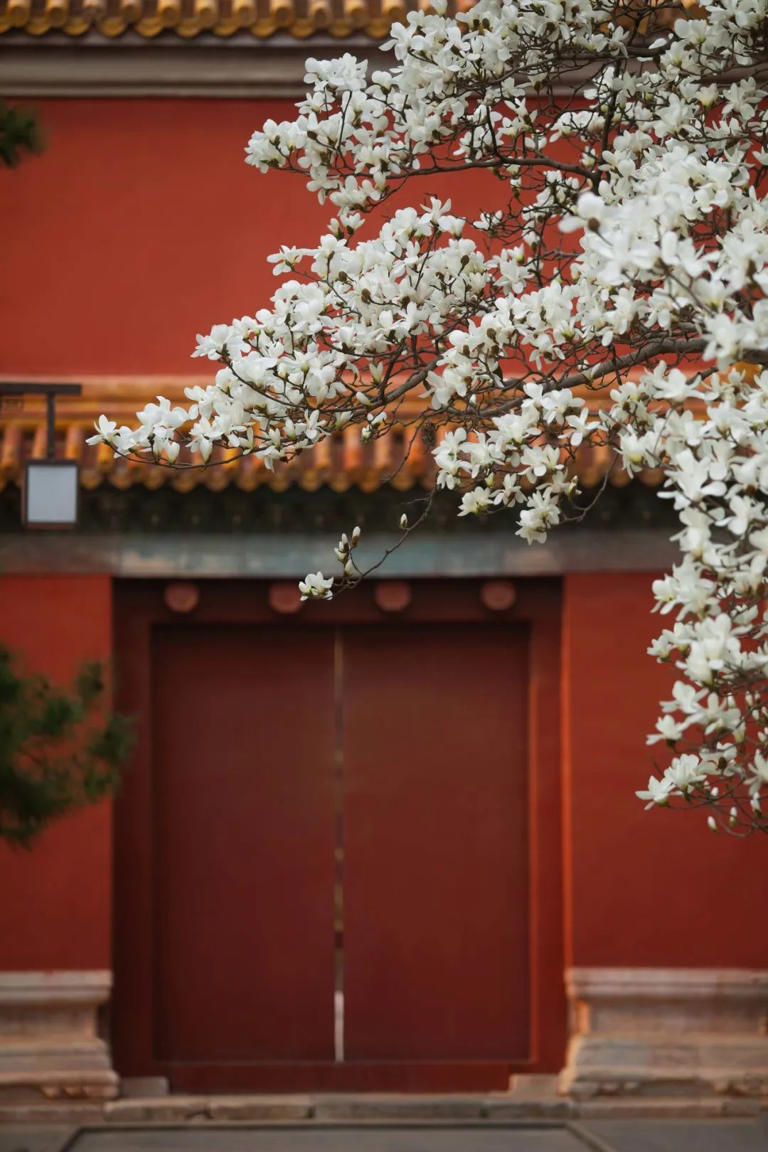 花700多年画出一条线，用中式色彩惊艳世界