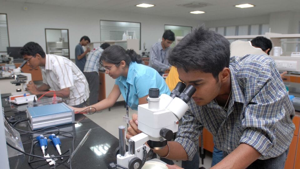 World Reputation Rankings 2025: Harvard University retains top spot; 4 ...