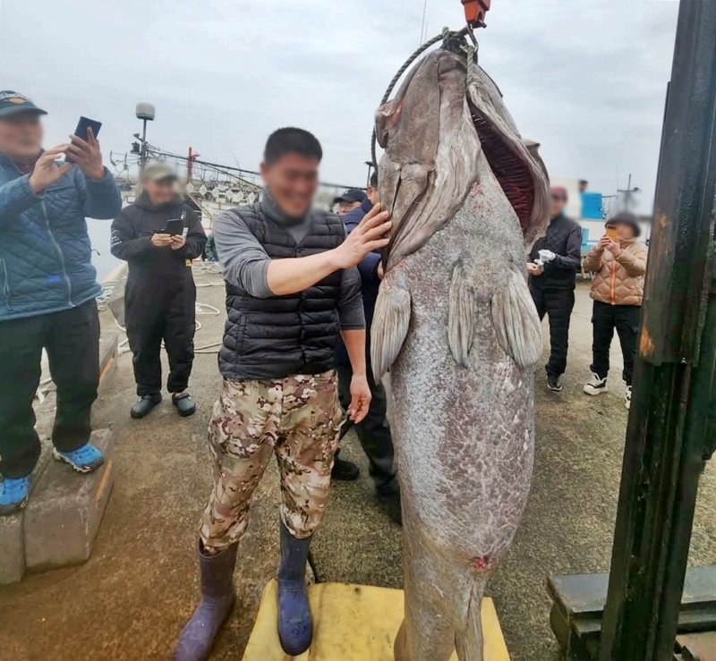 AA1zqdGz.img?w=800&h=739&m=4&q=84