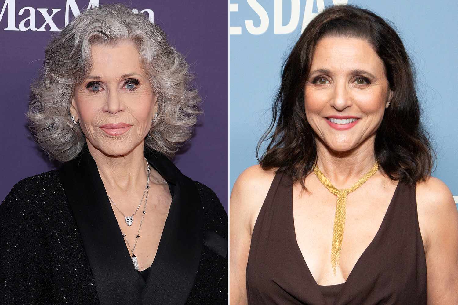 Julia LouisDreyfus to Present Jane Fonda with Life Achievement Award(00)