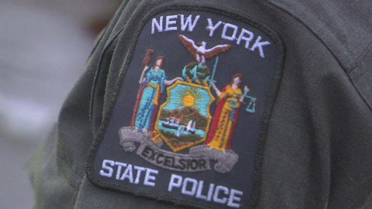 17 Year Old Arrested On Terrorism And Weapons Charges Accused Of