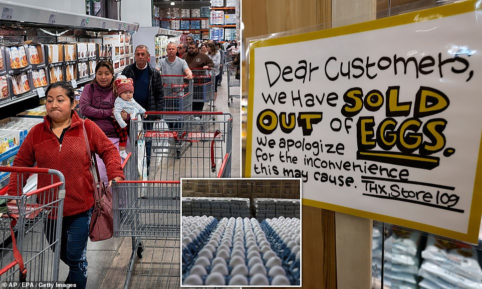 Desperate measures Americans are taking to get eggs as prices soar