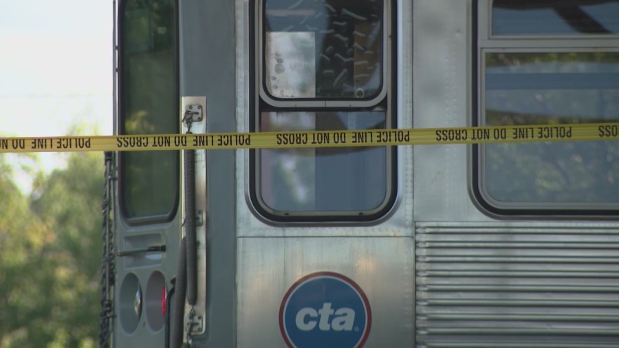 Woman fatally struck by CTA Blue Line train in Logan Square: CPD