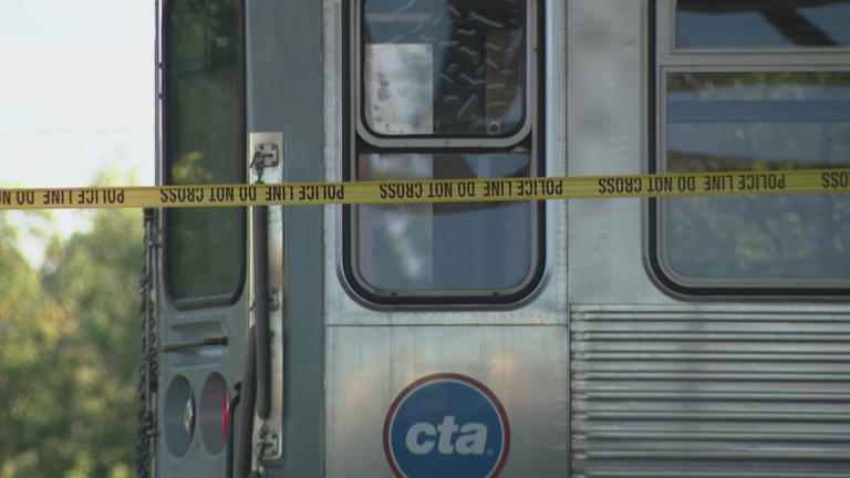 Woman fatally struck by CTA Blue Line train in Logan Square: CPD