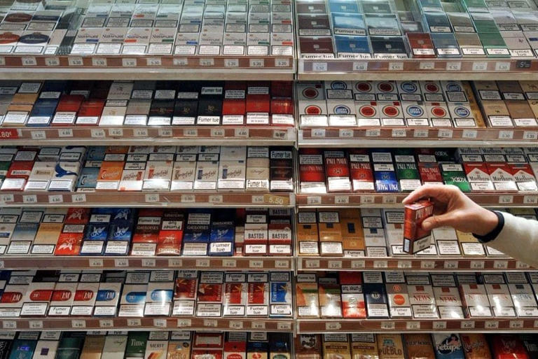 cigarette in morocco Morocco raises prices on Casa, Camel and Marquise as new tobacco lines  enter market