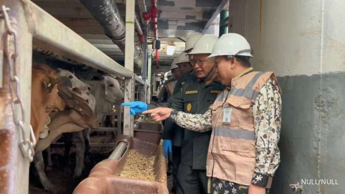 Kementan Catat Impor Sapi Pedaging Capai 231.593 Ekor hingga 2 Juli 2025