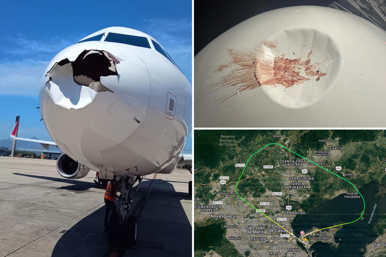 Plane’s nose smashed in, smeared in blood from bird strike just moments