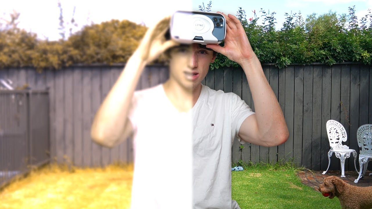 I tried living with dog vision