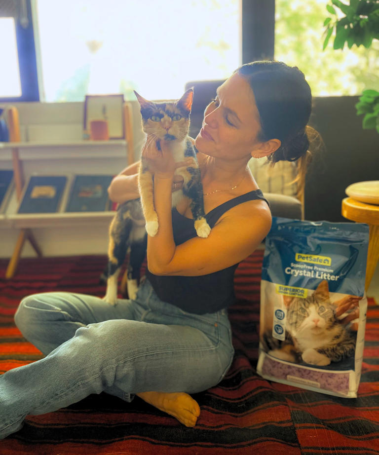 Rachel Bilson’s smart trick to end the worst pet chore