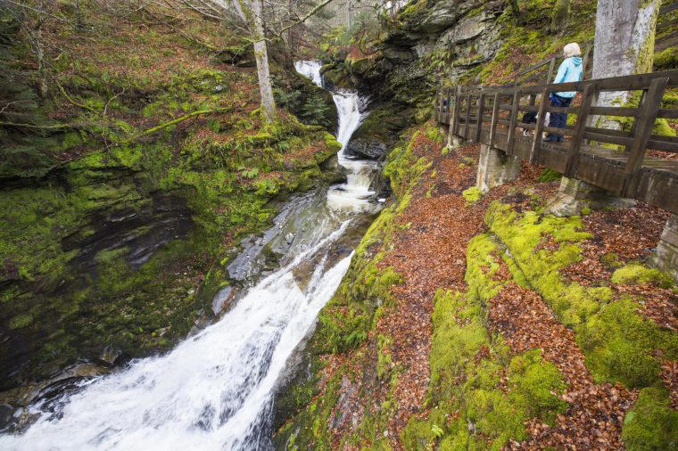 Scotland’s wild and mysterious ‘big tree country’ where you’ll hardly ...