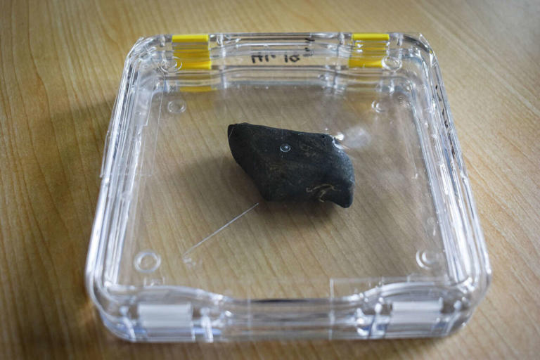 A massive daytime meteor lit up Houston. Pieces are now being recovered