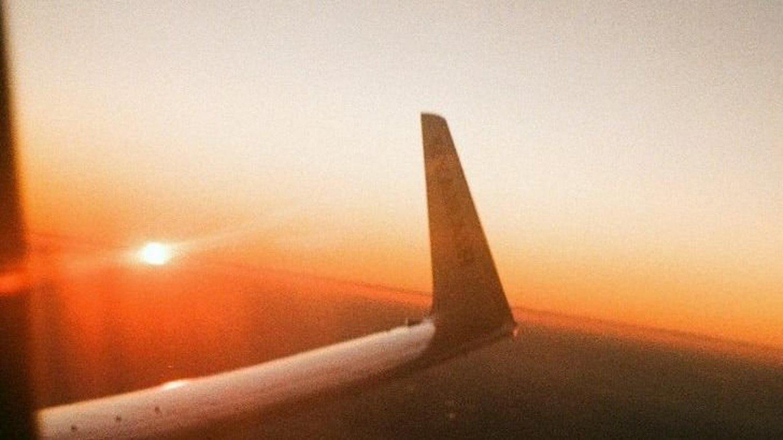 7 phobias that impact travel choices around the world<br><br>