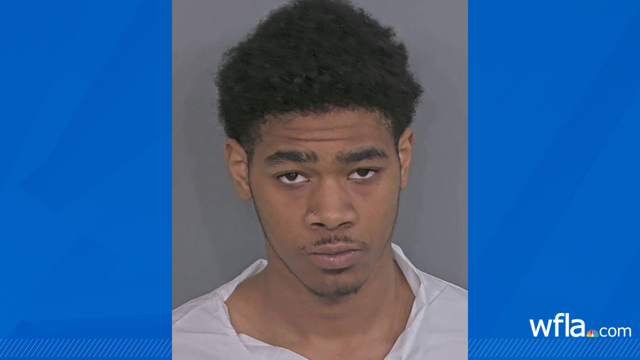 18-year-old arrested in connection to St. Pete deadly arson: police