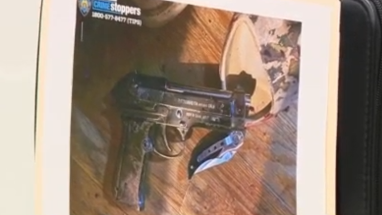 Armed man shot and killed by police in the Bronx: Details