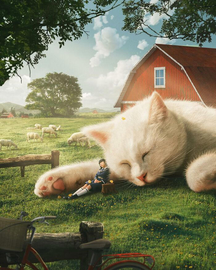 17 whimsical cat illustrations creating a magical world of cats