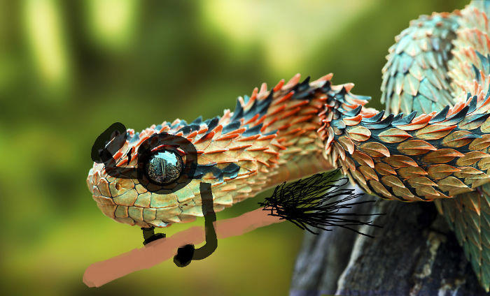 25 hilarious snake pics transformed by creative doodles