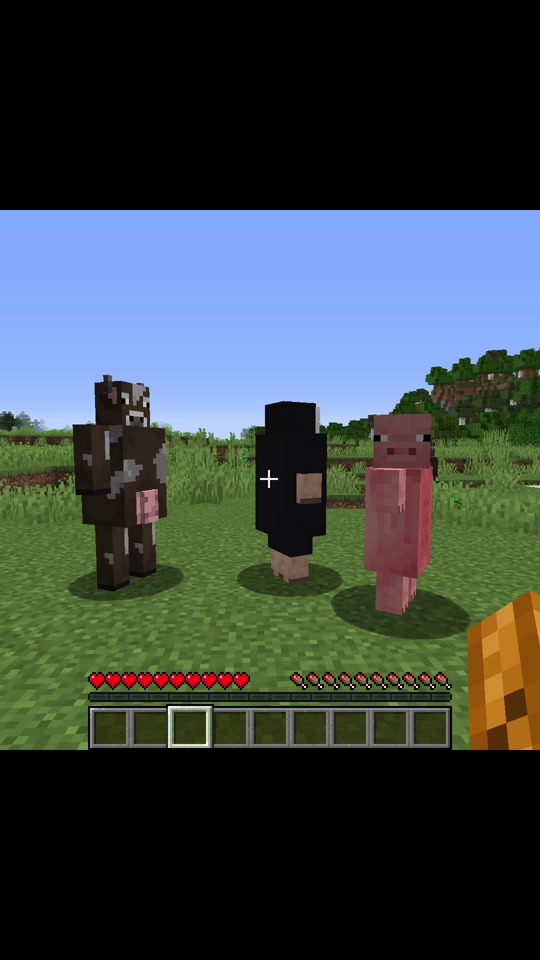 Cursed Minecraft speedrun! #minecraft #speedrun #speedrunner #dream