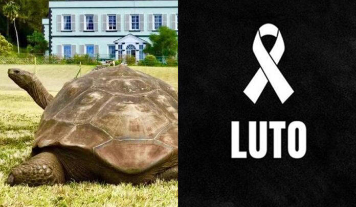 Morre Jonathan – Foto: Reprodução/X