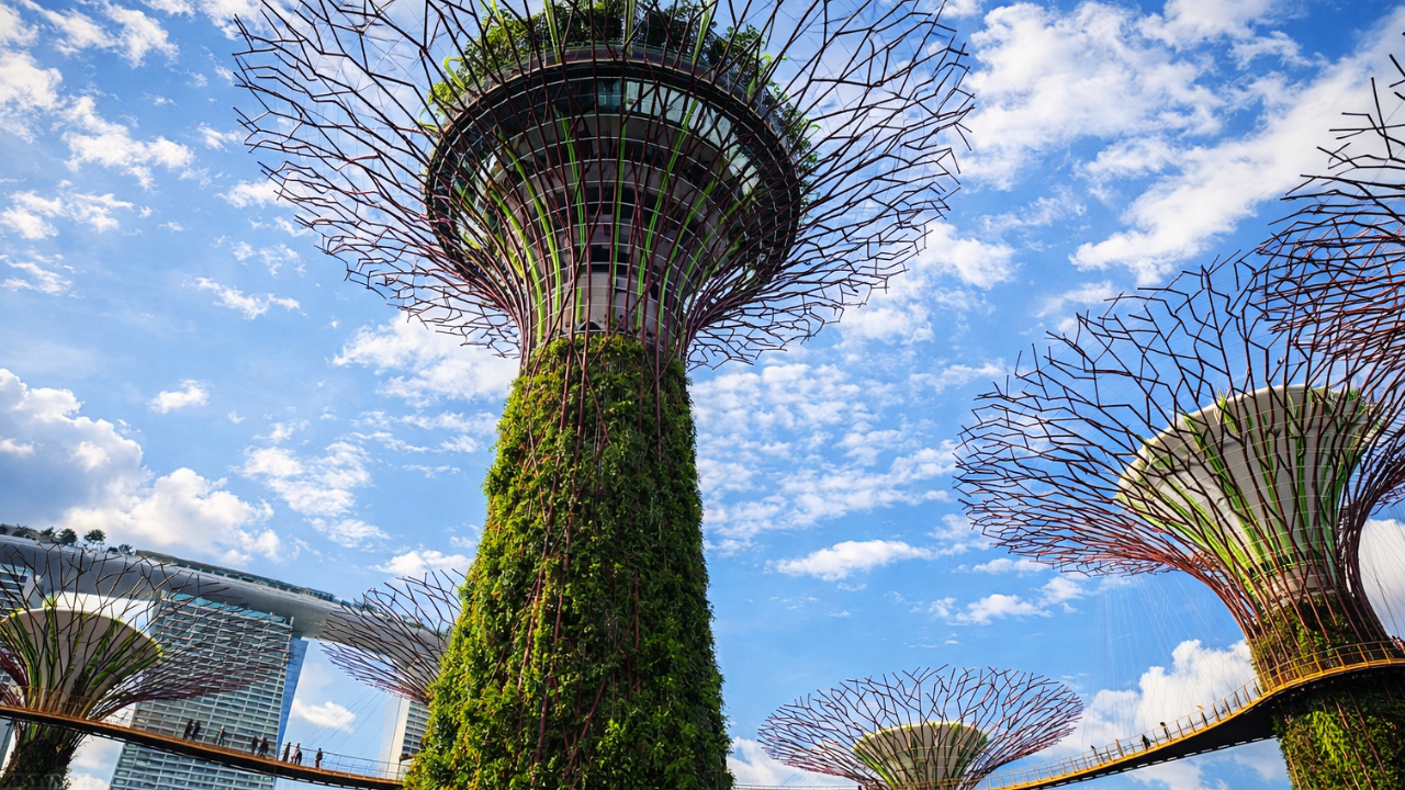 tour-a-p-pelos-jardins-da-ba-a-em-singapura-4k