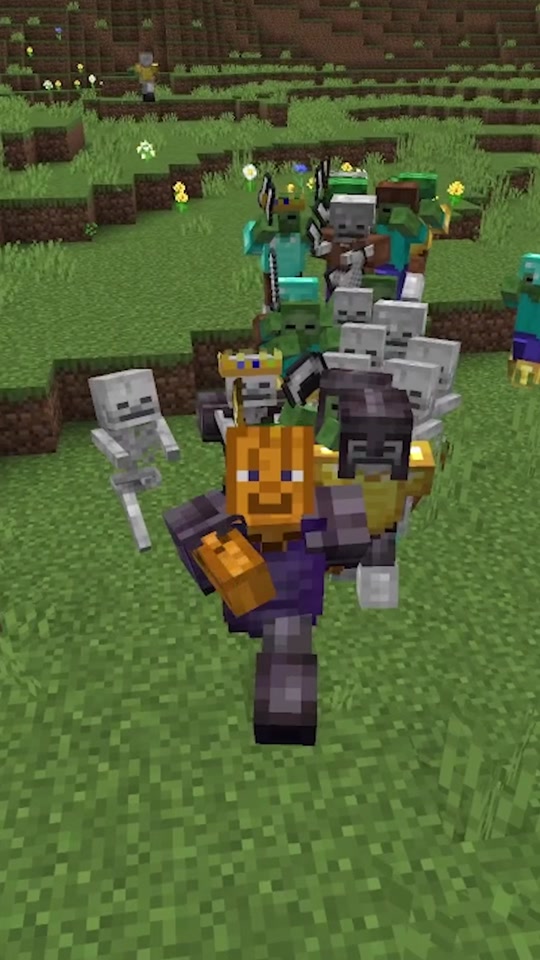 There are a bunch of mobs that can wear armor in minecraft but here a...