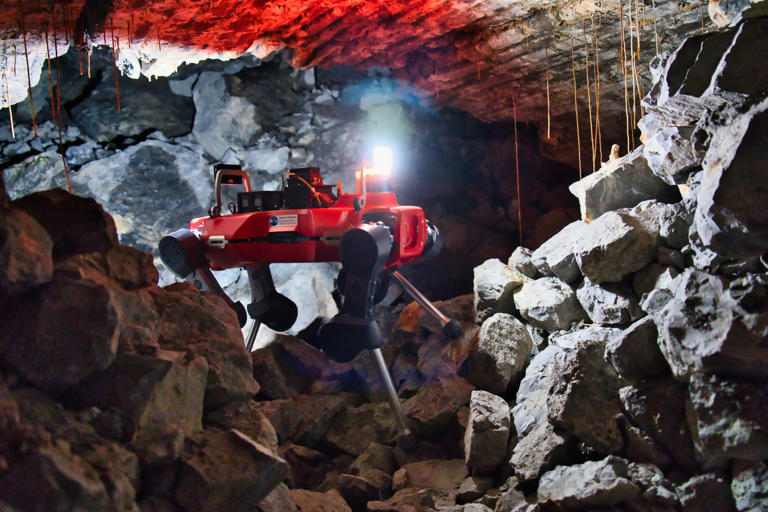 The robots are highly agile and capable of rapidly scanning their surroundings and flagging areas of interest (Picture: Dr Tomaso Bontognali./Cover Media)