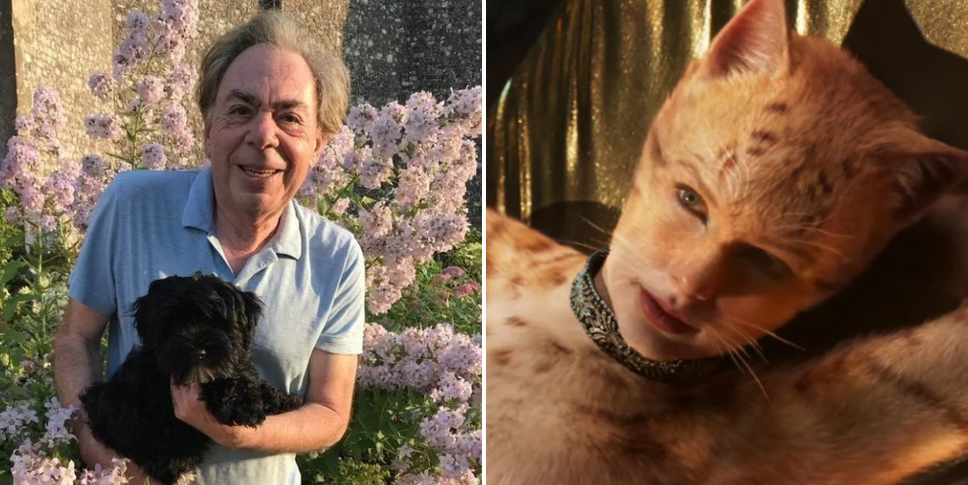 Andrew Lloyd Webber bought therapy dog after 'appalling' Cats movie