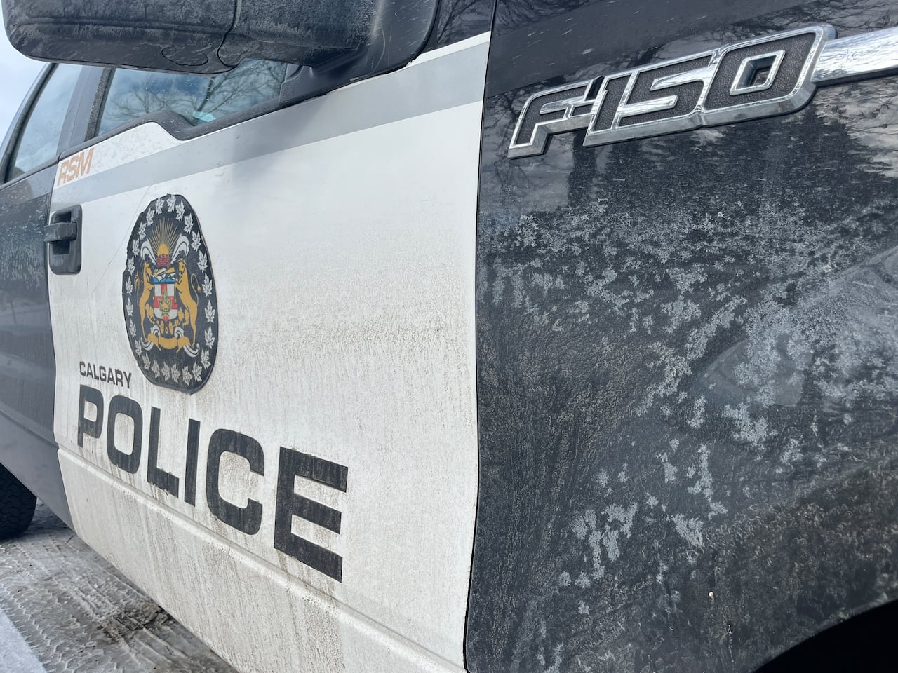Pedestrian struck and killed by vehicle on Stoney Trail in northeast ...