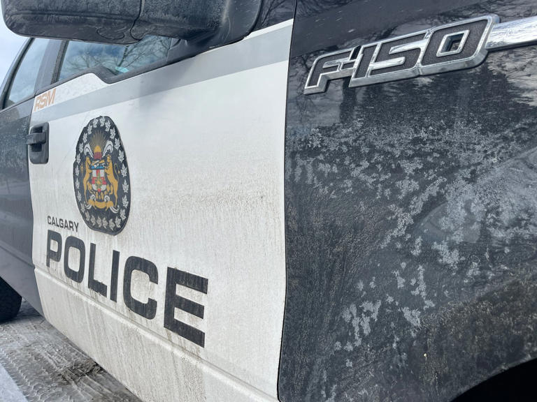 Pedestrian struck and killed by vehicle on Stoney Trail in northeast ...
