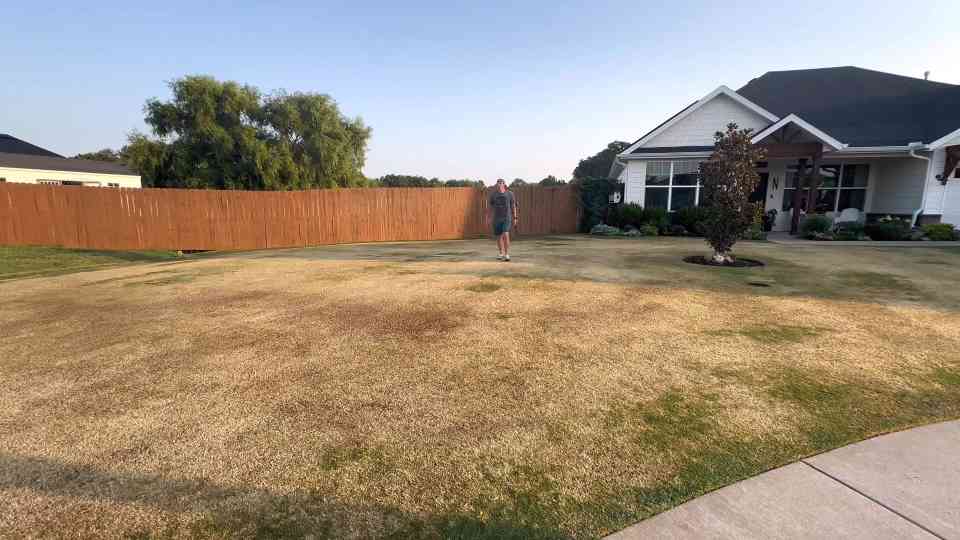 Cutting Bermuda grass down to brown starts a lawn reset
