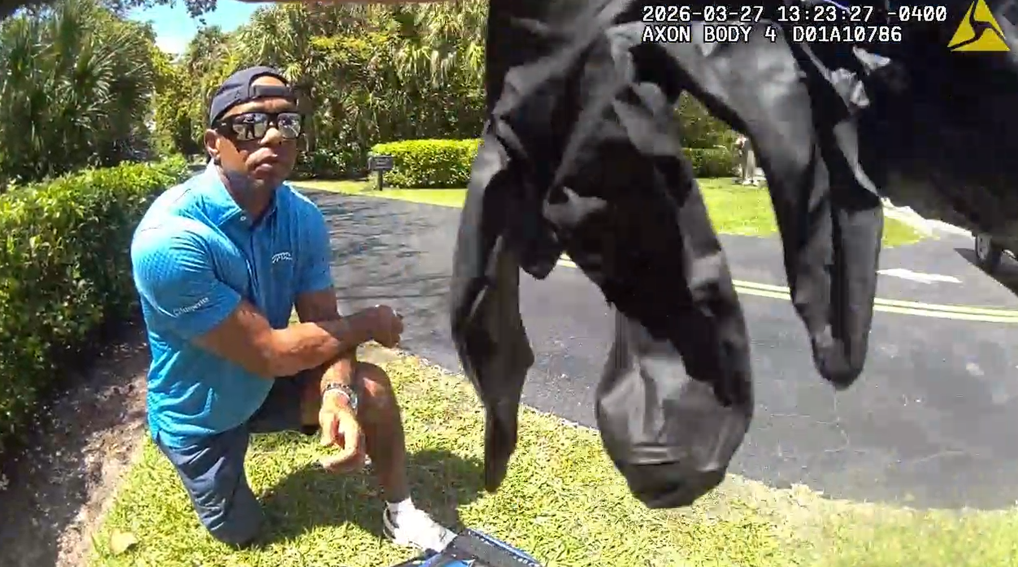 Legal expert says plea deal in Tiger Woods DUI case is a win for both sides