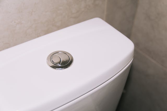 toilet flusher