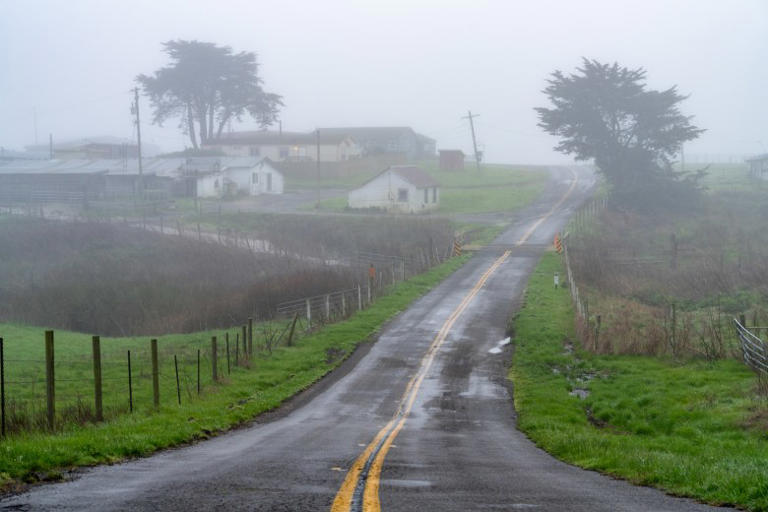 Last days on Point Reyes: Part 1 - Ranchers' time up as deal returns ...