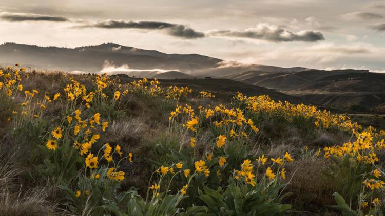 April showers bring muddy trails: What to expect in the Boise Foothills ...