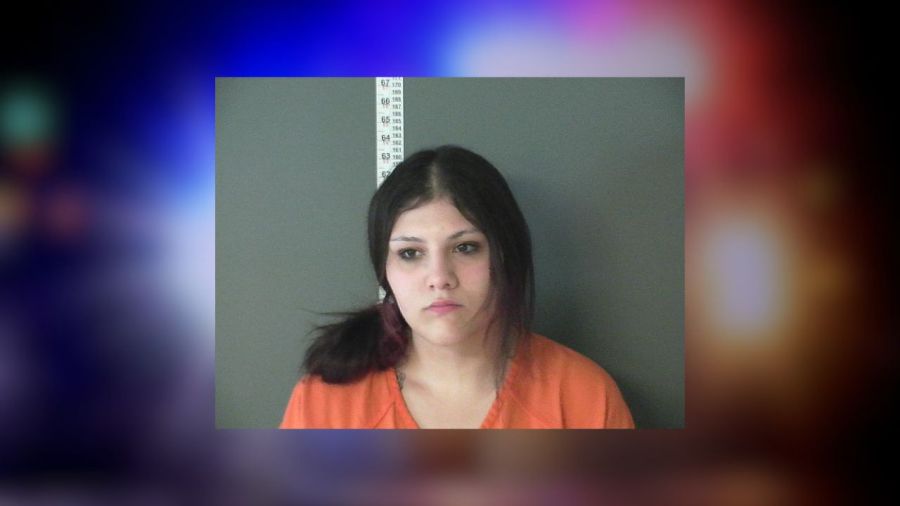 Troy woman sentenced for check forgery