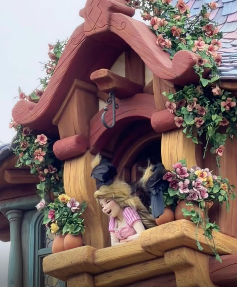 Disney park visitors traumatized as crows attack Rapunzel in ...