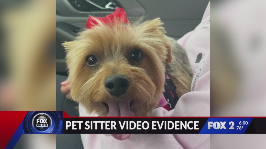 First look at pet sitter video evidence in abuse case<br>