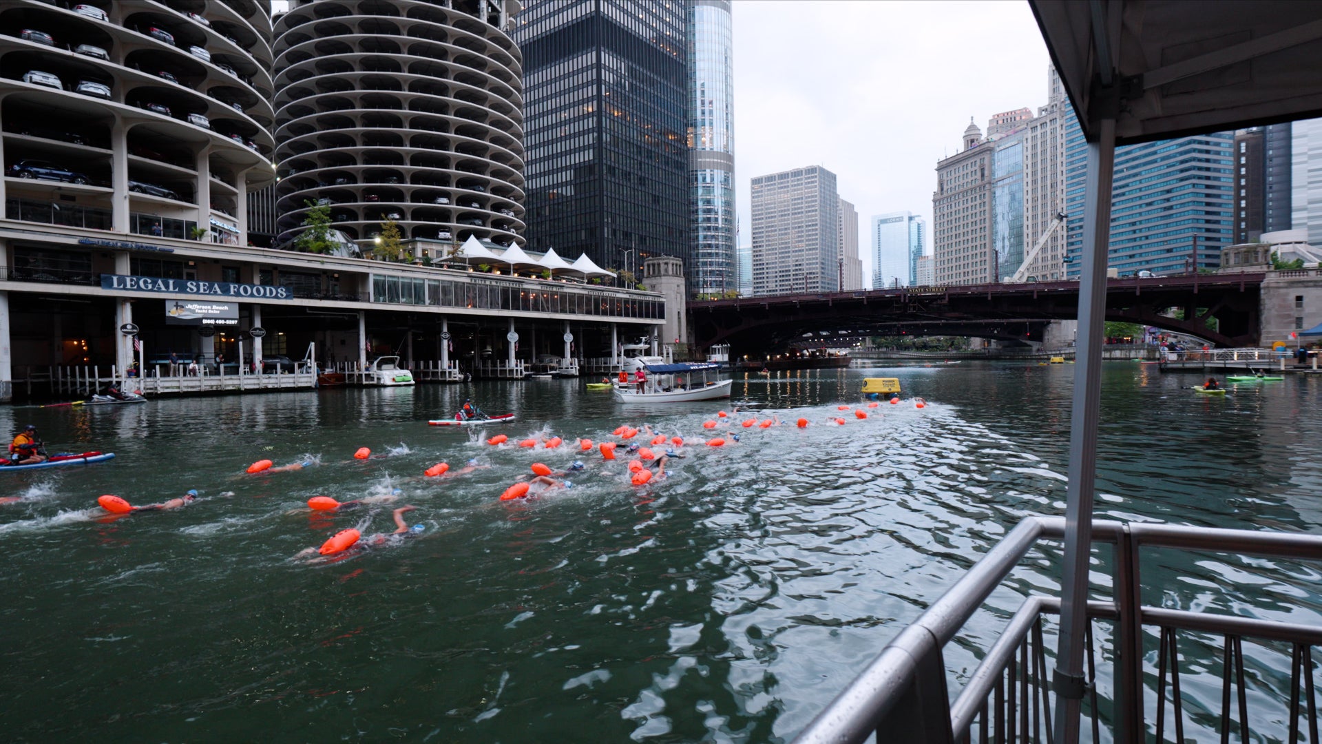 Are swimmable cities coming back?