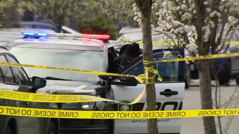 Two dead, one injured in domestic violence shooting in Puyallup, WA