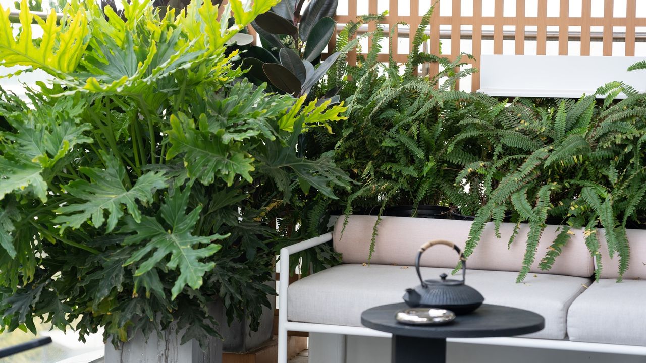 How to prevent balcony containers from overheating: 5 expert ideas