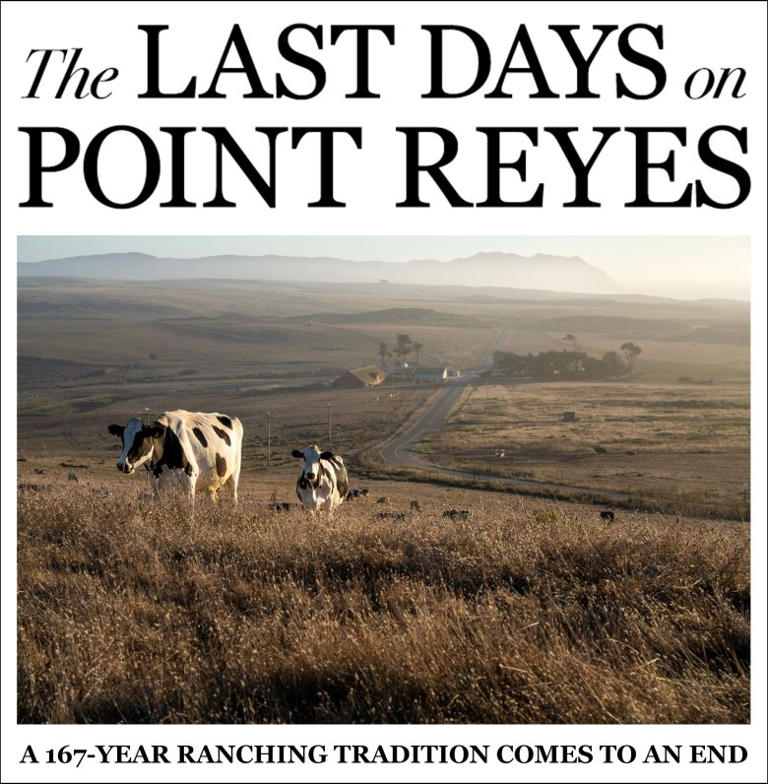 Last days on Point Reyes: Part 1 - Ranchers' time up as deal returns ...